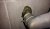 20150318_163915.jpg
