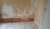 20150724_150739_resized.jpg
