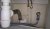 269696DSC0181.jpg