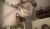 WP_20151130_22_25_37_Pro.jpg