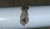 20151215_092610bis.jpg