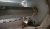WP_20160408_001.jpg