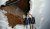 20160622_180025_resized.jpg
