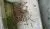 thumbnail_WP_20160724_021.jpg