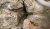 WP_20160818_20_12_53_Pro.jpg