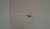 14247792_10205257807245052_62611356_o.jpg