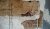 mur-abime-brique.jpg