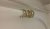 20170129_133016_resized.jpg