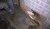 WP_20171110_21_54_28_Pro.jpg