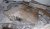 Grenier-chambre-A2.jpg