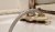 20190115_223534BIS.jpg