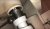 A28100C1-5DA4-4695-9698-F734038381AF.jpeg