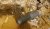 rps20190522_094528.jpg