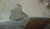 20190709_115047.jpg