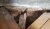 rps20191027_184809.jpg