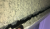 2020_03_pb_encadrement_5.png