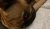 6CF3CFA6-7C47-4113-954C-4EA5D1A8814D.jpeg