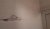 20210204_204206.jpg