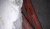 20210303_114430b.jpg