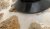 20D61C67-EBE5-4023-9C59-74E12486FEE2.jpeg