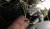 FEE1C2EA-F625-46AA-A890-11C3ABC8FD80.jpeg