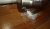 IMG_20230617_144248.jpg