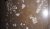 20190725_191825.jpg