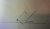 IMG_3759.jpeg