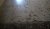 WP_20231111_13_25_21_Pro.jpg