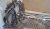 IMG-20261019-WA0006.jpeg
