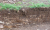 terrasse2.GIF