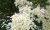 20140512_164416.jpg