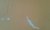 20160423_154611.jpg