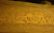 P10203791.gif