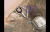 Screenshot_2018-05-01-12-24-39.png