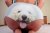 Doggystyle.jpg