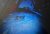 DSC01446.JPG