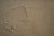 DSC04977.JPG
