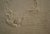 DSC04978.JPG