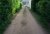 DSC01550.jpg
