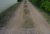DSC01555.jpg