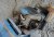 DSC01095.JPG