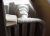 radiateur_2.jpg