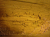 P1020378.gif