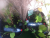POINTS-D'ARROSAGE.gif