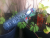ETALONNAGE.gif