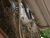 DSC00830.JPG