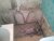 WP_001450.jpg