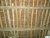 DSCN9776.JPG