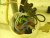 DSCN0568.JPG